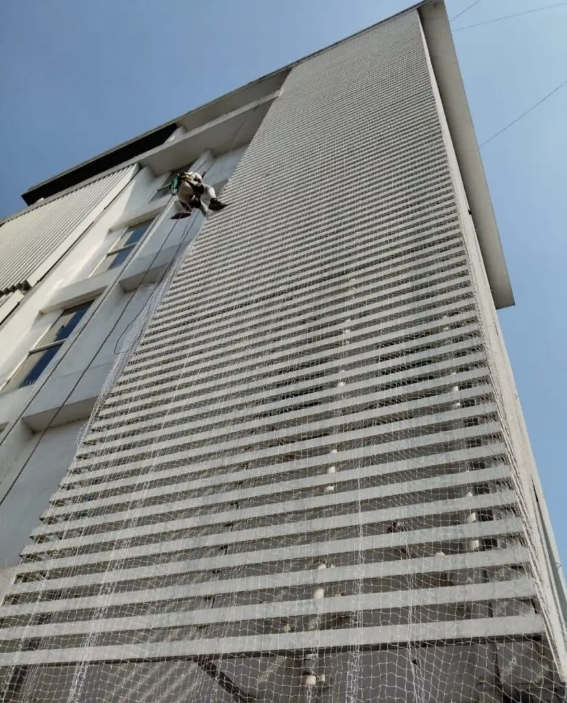 Bird Net Installation Near Me